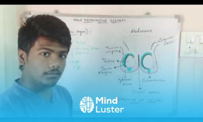 MALE REPRODUCTIVE SYSTEM BY PHANINDRA GUPTHA NEET LEVEL