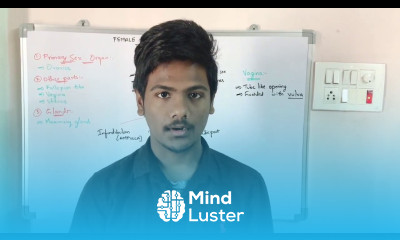 FEMALE REPRODUCTIVE SYSTEM BY PHANINDRA GUPTHA NEET LEVEL