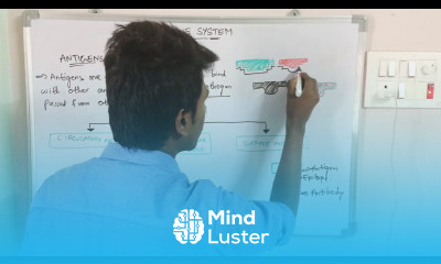 ANTIGENS IMMUNOGLOBULINS INTER 2nd YEAR BY PHANINDRA GUPTHA