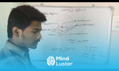 PASSAGE OF FOOD THROUGH ALIMENTARY CANAL BY PHANINDRA