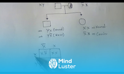 GENETIC INHERITENCE IN HEAMOPHILIA BY PHANINDRA