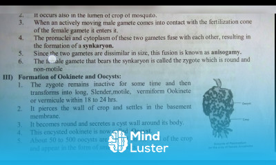 PLASMODIUM VIVAX IN MOSQUITO PHASE NOTES INTER 1ST YEAR BY PHANINDRA GUPTHA