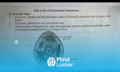 ENTAMOEBA HISTOLYTICA NOTES INTER 1ST YEAR BY PHANINDRA GUPTA