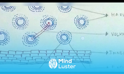 HAVERSIAN SYSTEM OSTEON INTER 1ST YEAR BY PHANINDRA GUPTHA