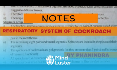 NOTES FOR RESPIRATORY SYSTEM OF COCKROACH PERIPLANETA BY PHANINDRA GUPTA