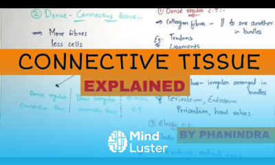 CONNECTIVE TISSUE LOOSE CONNECTIVE TISSUE DENSE CONNECTIVE TISSUE BY PHANINDRA GUPTHA