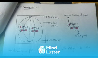 MEIOSIS I BIOTECHNOLOGY BY PHANINDRA