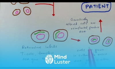 Gene therapy In Vivo Gene therapy Ex Vivo Gene therapy Types of Gene therapy Bio science
