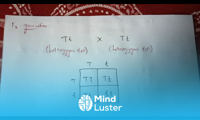 LAW OF DOMINANCE BY USING MONOHYBRID CROSS BY PHANINDRA GUPTHA