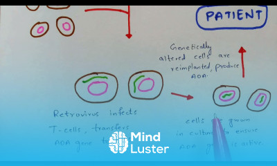 Gene therapy In Vivo Gene therapy Ex Vivo Gene therapy Types of Gene therapy Bio science