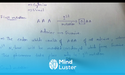 REVERSE MUTATION BY PHANINDRA GUPTHA