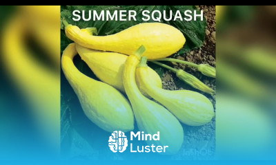 EPISTASIS part 1 DOMINANT EPISTASIS 1 DOMINANT EPISTASIS 2 BY PHANINDRA