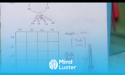 EPISTASIS part 2 DUPLICATE RECESSIVE EPISTASIS POLYMERIC GENE INTERACTION BY PHANINDRA