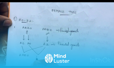 SEX DETERMINATION BY PHANINDRA