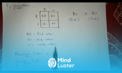 INCOMPLETE DOMINANCE BY PHANINDRA GUPTHA