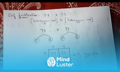 MONOHYBRID CROSS BY PHANINDRA GUPTHA