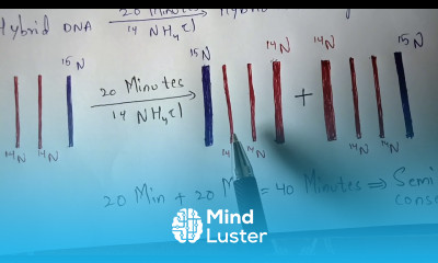 MESELSON STAHL EXPERIMENT dna recombination BY PHANINDRA GUPTHA