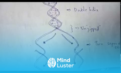 DNA REPLICATION part 1 BY PHANINDRA GUPTA