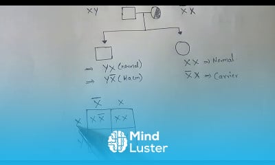 GENETIC INHERITENCE IN HEAMOPHILIA BY PHANINDRA