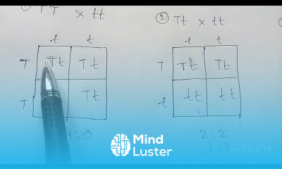 TEST CROSS BY PHANINDRA