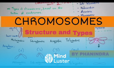 Chromosome structure and it s types By Phanindra guptha