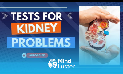 Blood test for kidney function bun blood urea test for kidney disease