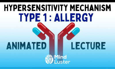 Type 1 hypersensitivity reaction mechanism Shomu s Biology