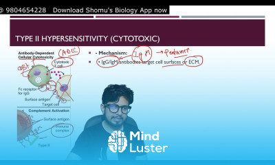 Hypersensitivity reactions microbiology Type 1 type 2 Type 3 and Type 4 classification