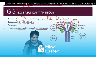 Antibodies structure and functions Types of antibodies immunoglobulins strcture