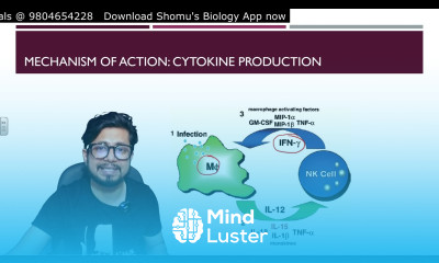 Natural killer cells immunology NK cells structure and function Role in immunity