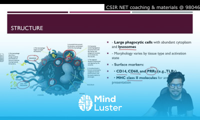 Macrophage structure and function Cells of immune system Shomu s Biology