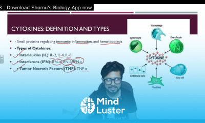 Cytokines and their role in immune regulation interleukins and chemokines functions