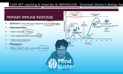 Immune response microbiology Primary immune response and secondary immune response
