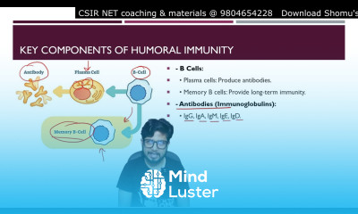 Humoral immune response Antibody mediated immune response Shomu s Biology