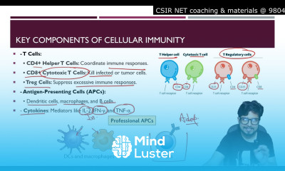 Cell mediated immunity Cellular immune response mechanism Shomu s Biology