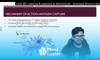 Dendritic cells immunology lecture Cells of immune system Shomu s Biology