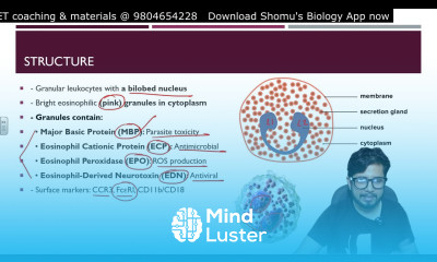 Eosinophil cells of immune system Structure and function of eosinophil in immunity