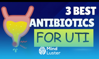 Fast UTI Relief in 7 Days with These Powerful Antibiotics Best antibiotics for UTI