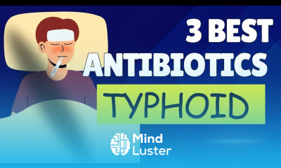 Best antibiotics for typhoid infection Typhoid fever antibiotics