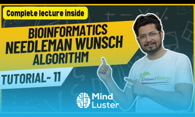 Needleman wunsch algorithm How to perform Global sequence alignment Tutorial 11