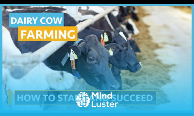 Dairy Cow Farming Lesson 2 How To Start Succeed In Dairy Farming