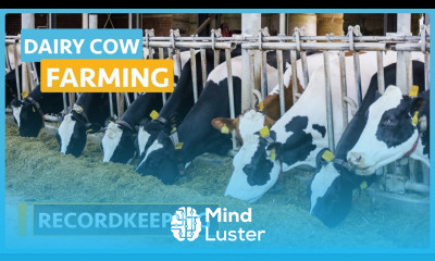 Dairy Cow Farming Lesson 8 Recordkeeping