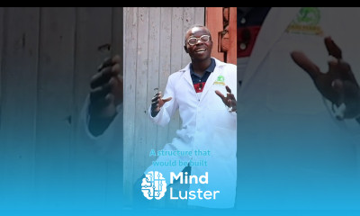 Housing for Broilers broilerchicken poultryfarming chickenhouse chickenfarming