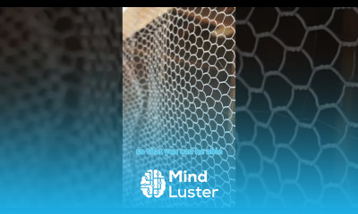 Importance of ventilation broilerfarming poultryfarming chickenhouse chicken poultryhouse