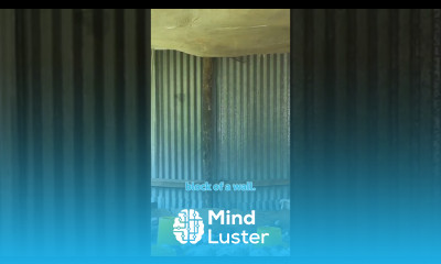 Window Grills for your poultry structure broilerchicken poultryhouse chickenhouse poultryfarm