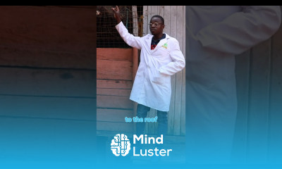 Length of the house broilerchicken broiler poultry farm poultryfarming chicken