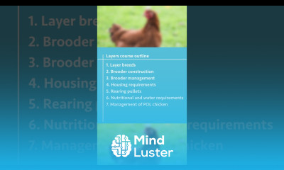 Layers Farming Course Outline layinghens poultryfarming chicken poultrymanagement agribusiness