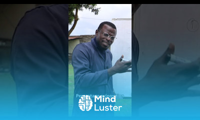 Layer Breed Characteristics