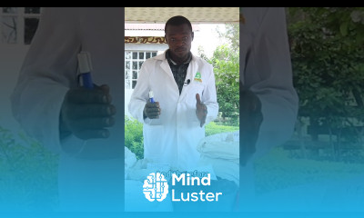 Maximize Returns poultryfarming layinghens feedingchickens