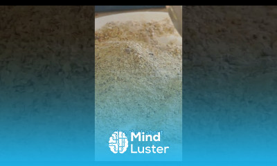 Cost Cutting in poultry farming poultryfarming chicken layinghens feedingchickens